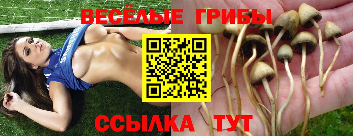 Галлюциногенные грибы прущие грибы  Вход с VPN  Кызыл  Галлюциногенные грибы мицелий 